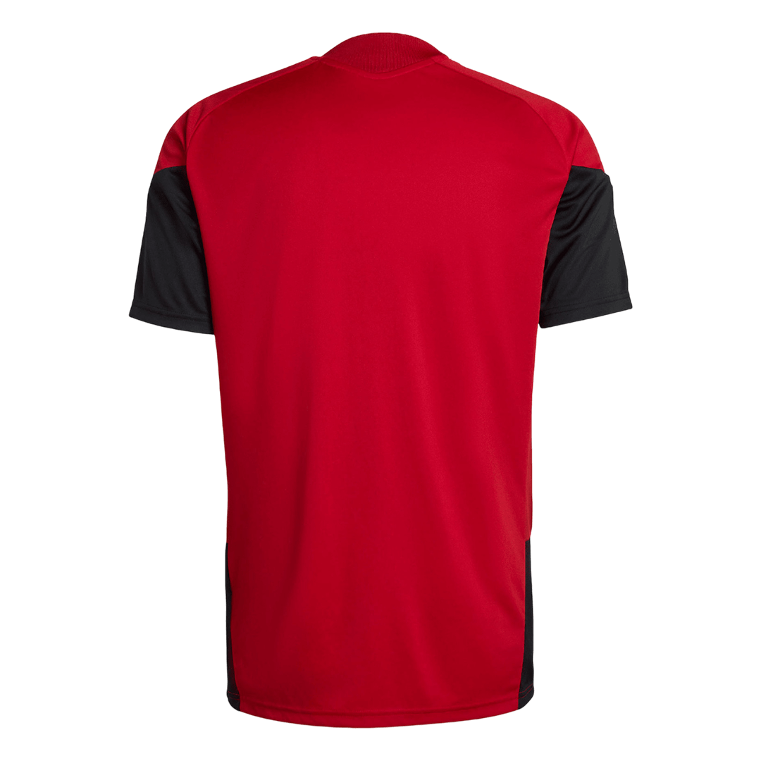 Camiseta Alemania 2026 Pre-Partido Copa del Mundo - Versión Hincha - Vista 2