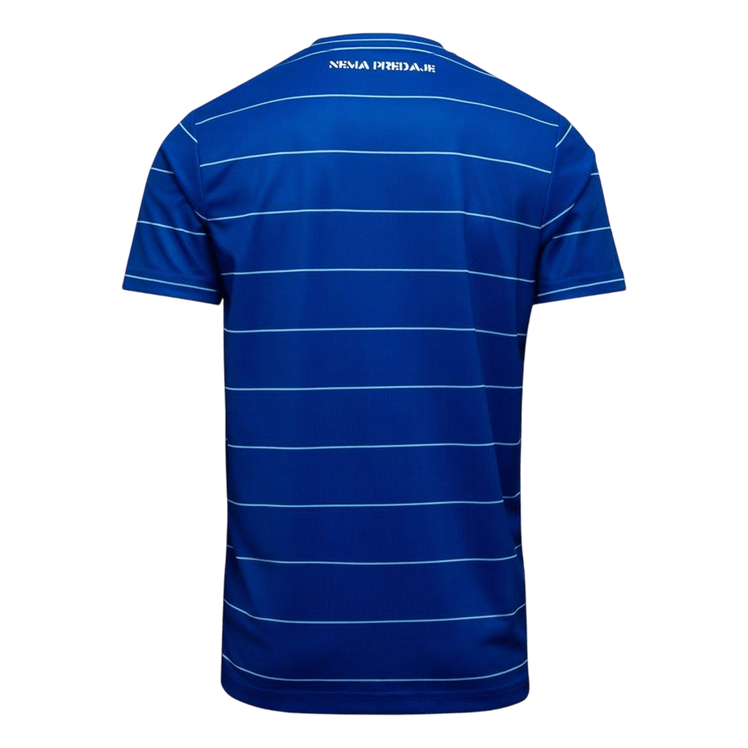 Camiseta Dinamo Zagreb 2025/26 Primera Equipación - Versión Hincha - Vista 2