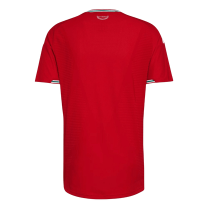 Camiseta Gales 2026 Primera Equipación Copa del Mundo - Versión Hincha - Vista 2